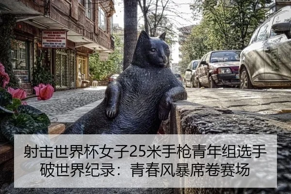 射击世界杯女子25米手枪青年组选手破世界纪录：青春风暴席卷赛场