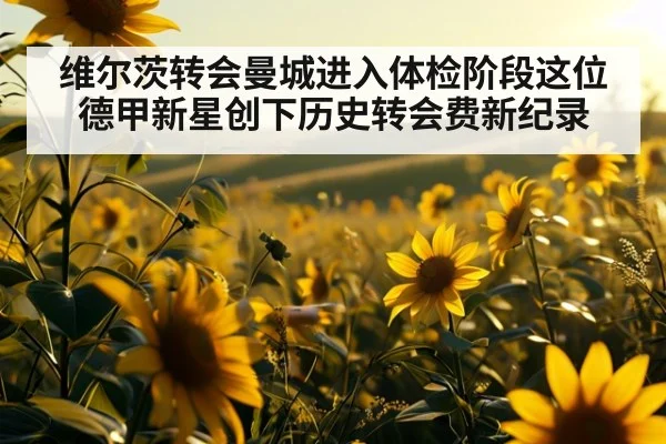 维尔茨转会曼城进入体检阶段这位德甲新星创下历史转会费新纪录