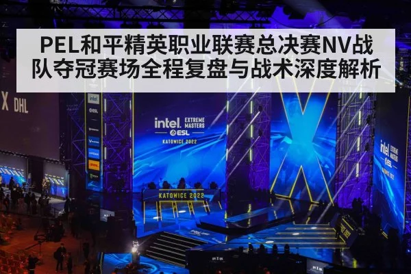 PEL和平精英职业联赛总决赛NV战队夺冠赛场全程复盘与战术深度解析