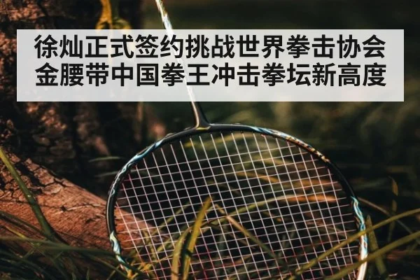 徐灿正式签约挑战世界拳击协会金腰带中国拳王冲击拳坛新高度
